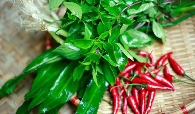 Hạt giống rau gia vị